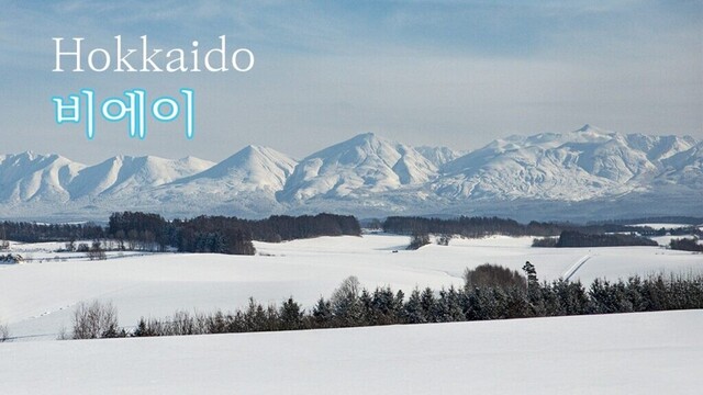 [4K] 홋카이도 눈물나는 대자연 비에이 후라노투어, 같이 울어 보시죠