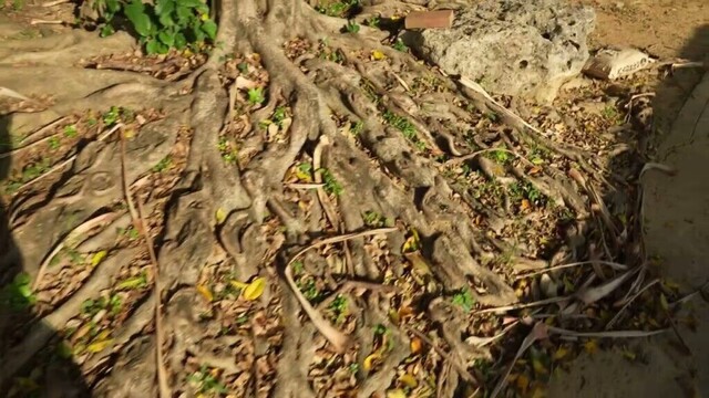 A stroll to watch waves at Naha Port around the Mie Castle Ruins site.  Jan. 12, 2025.  Okinawa.