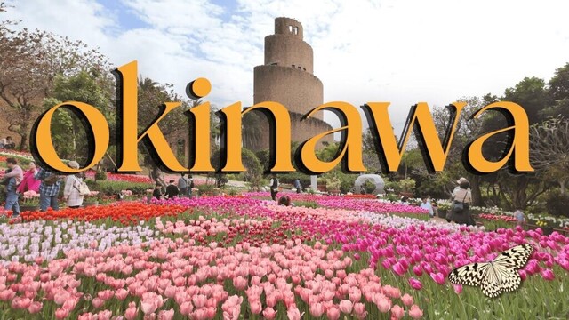 OKINAWA 🏝️ TOP TRAVEL Spots in Okinawa, Japan