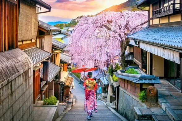 A Month-by-Month Guide to the Best Cities to Travel in Japan