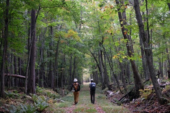 Walk Japan Launches New East Hokkaido Walking Tour