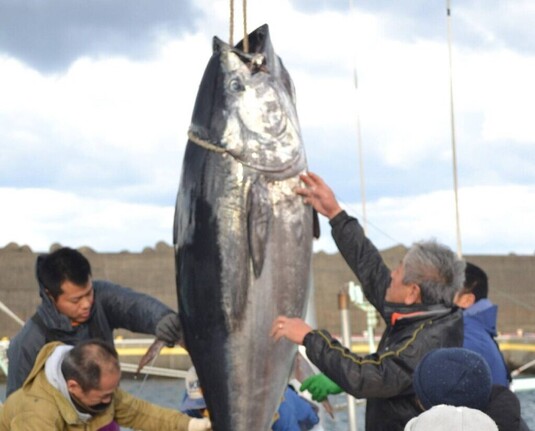 Tokyo aiming to establish brand power of fish caught off its islands