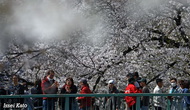 Japan crosses 10 million visitors through March at fastest ever pace
