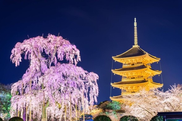 Dior shows fall fashion collection in gardens of ancient Kyoto temple