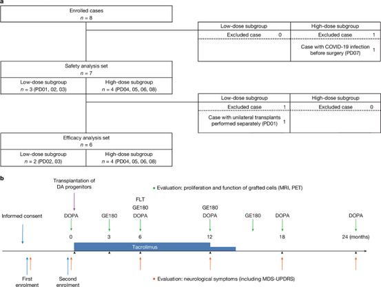 Phase I/II trial of iPS-cell-derived dopaminergic cells for Parkinson’s disease