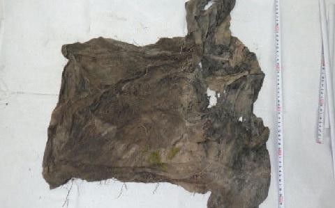 Bones found on Marine Corps base ID’d as Okinawan man missing since 2018