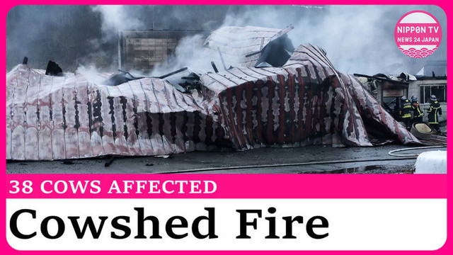 Cowshed in Hokkaido burns down