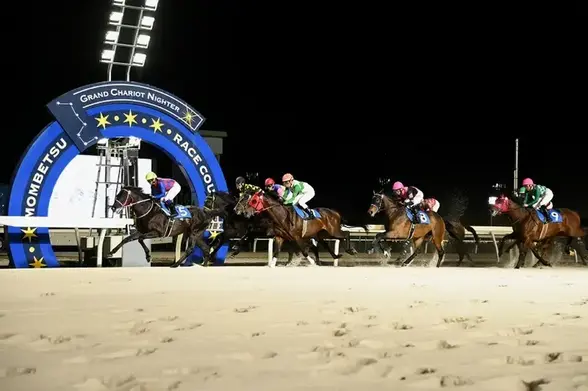Night races and local gourmet food! Hokkaido Horse Racing 2025 opening and a guide to recommended spots in Hidaka Town, the &quot;town of horses&quot;｜Domingo