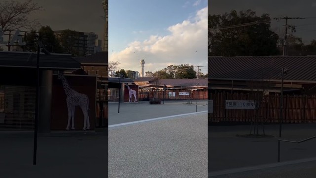 【OSAKA】Everyday Common Scene - Tenshiba Park