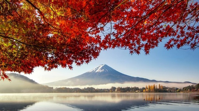 Discover top travel deals: Japan tour, Mediterranean cruise, Canada, Australia, and Bangkok