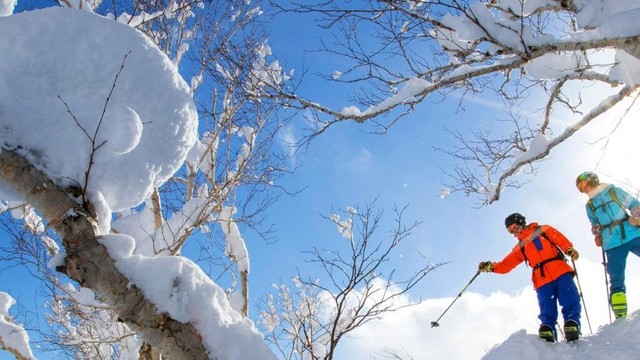 The best Japanese islands to visit