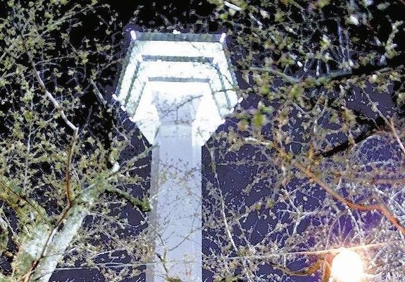 “Cherry Blossom Front” Reaches Hokkaido; Cherry Blossom Viewing with Lamb Barbecue, Lantern Illuminations are Popular