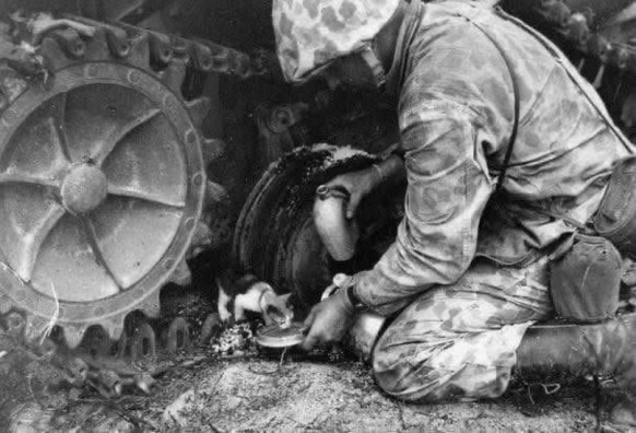 A Marine offers some water and comfort to a kitten during the Battle of Tarawa, 1943. [605x412]