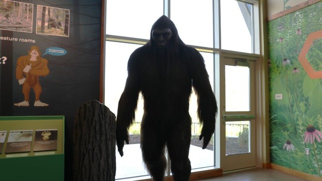Father-son duo report Bigfoot sighting. Where they say they saw the creature in Michigan