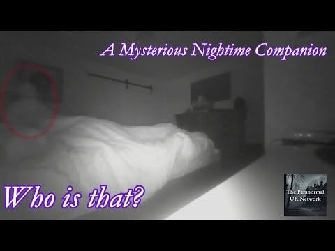 The Cryptic Files - A Nocturnal Companion