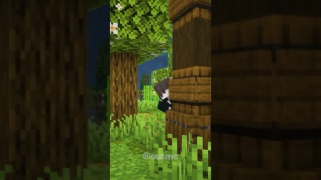 Minecraft Story 🥹#shorts