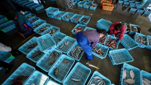 China to resume seafood imports from Japan suspended after Fukushima wastewater discharge