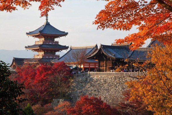 Top Japan Travel Tips: What Tourists Get Wrong in Kyoto, Beyond