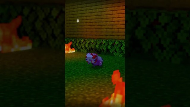 Only Friend- A Minecraft Movie Meme