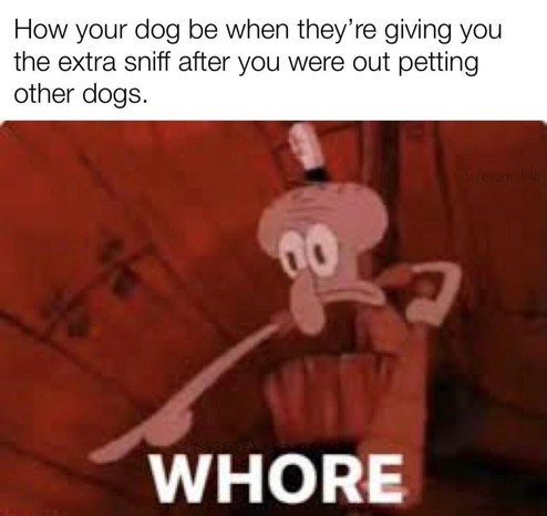 Betrayal