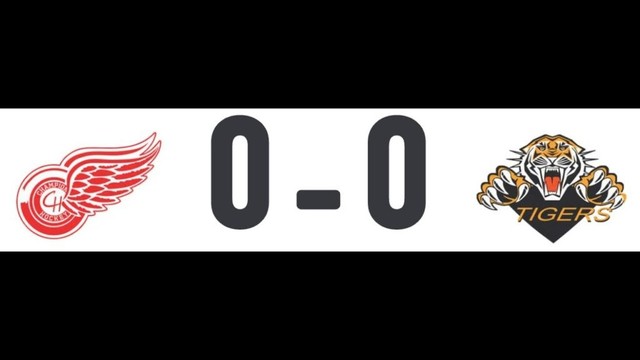 NB Champions Red Wings vs NB Tigers  | 1-June-2025 | U15 Tier 1 | 8 vs 7 Div. 2 Bronze