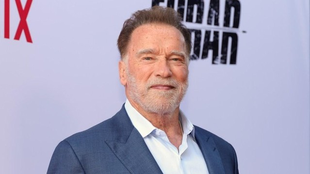 Arnold Schwarzenegger Blames L.A. ICE Raids on Republicans and Democrats’ Lack of Immigration Reform: ‘They’re All Political Hacks Rather Than Public Servants’
