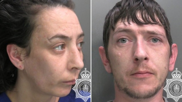 Toddler mauled by Japanese fighting dog which couple bought online for £150