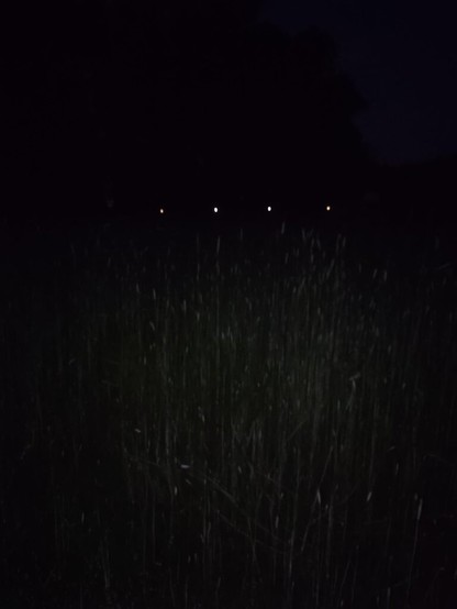 This frightened me out sm...