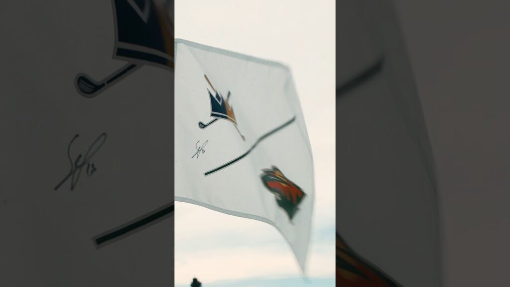 Link Preview Image