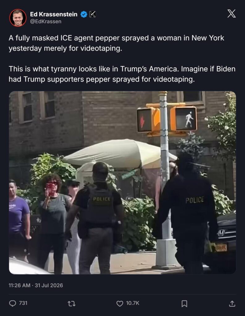 MAGA/GOP ICE agents ramp up attacks on patriotic Americans